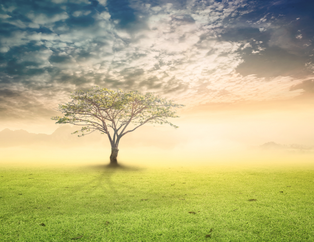 Heilung mit sprituellen Wesen