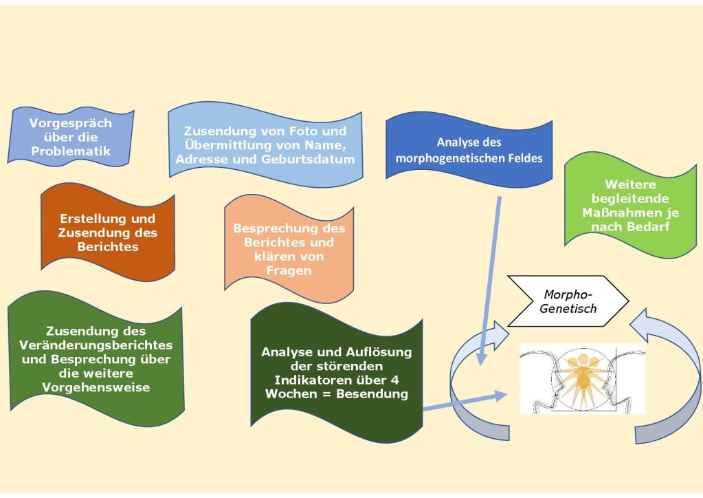 Ablauf einer radionischen Analyse